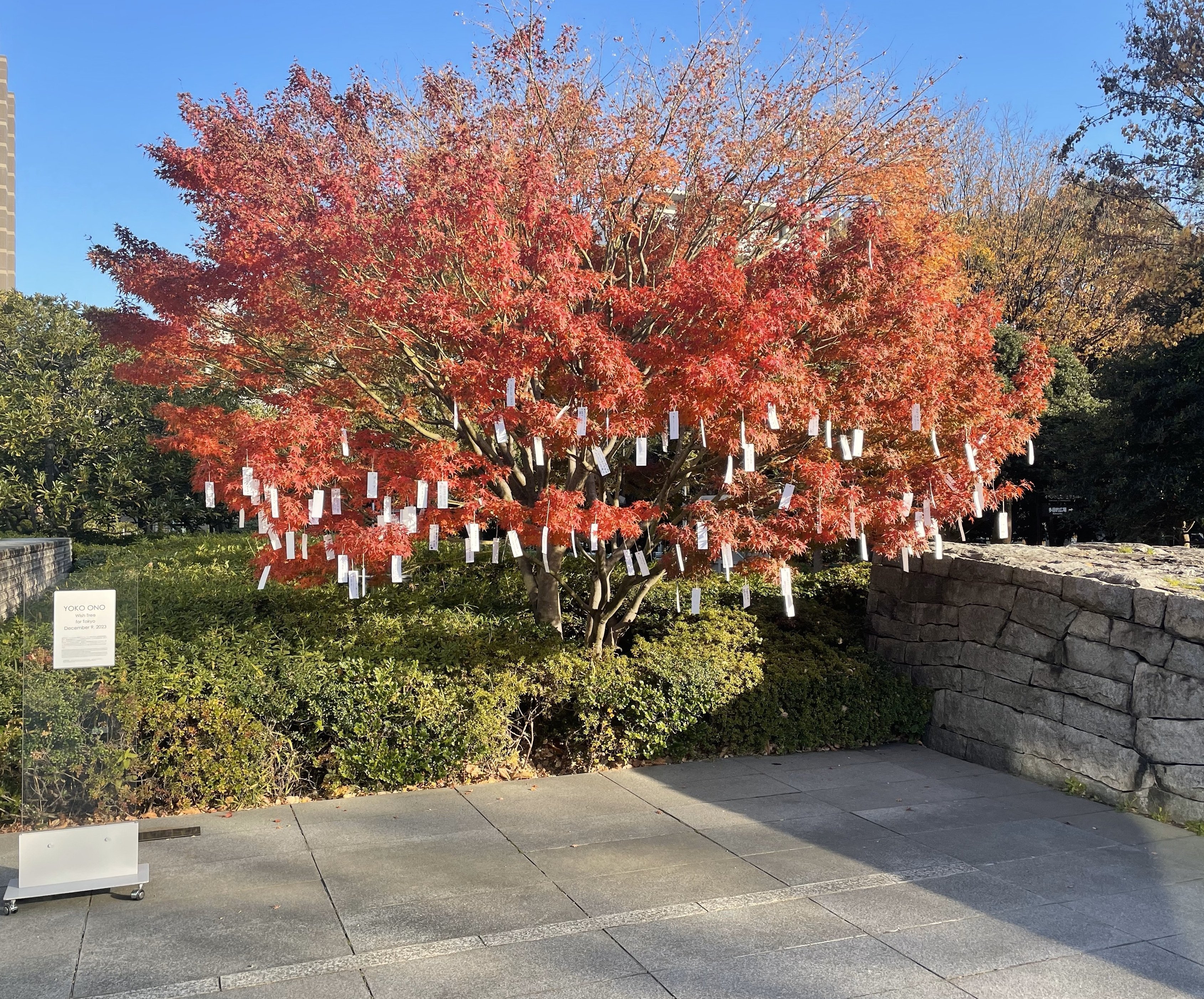 よーこ 12月24日 午前中到着希望 オノ・ヨーコ《東京のウィッシュ・ツリー》 | イベント | 東京都現代